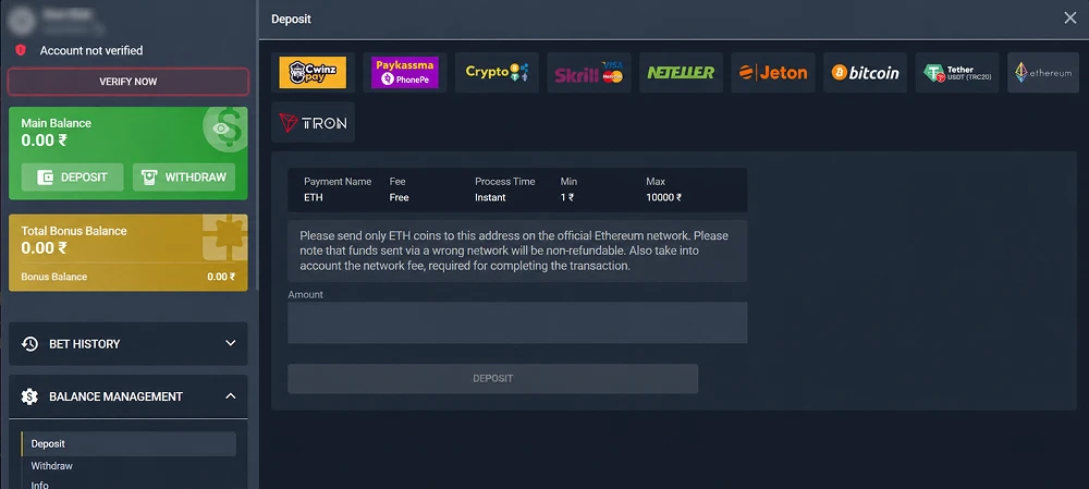 cwinz casino payment methods
